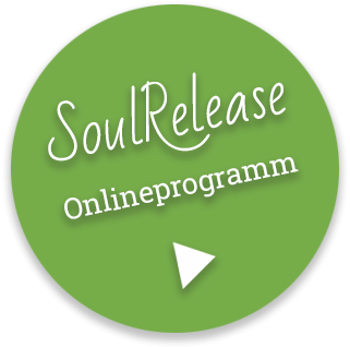 SoulReset Onlineprogramm